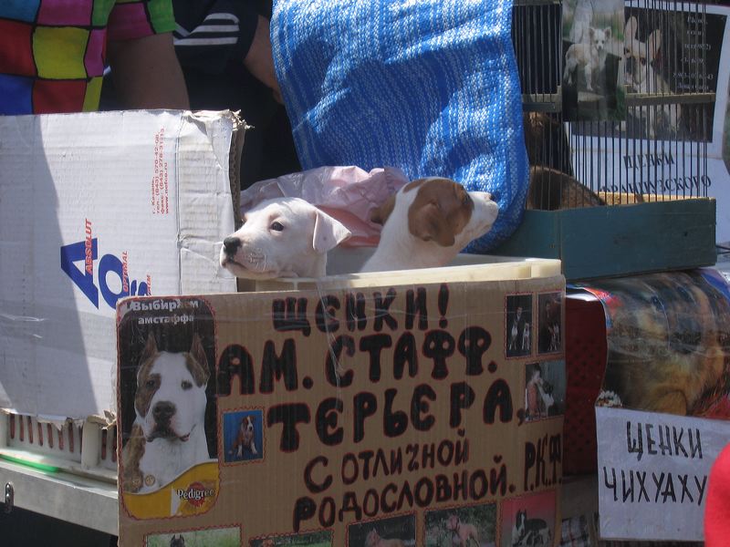 tver__2006-05_4302.jpg